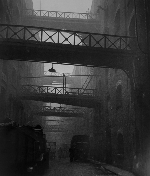 London.Analogue.Imagery tweet media
