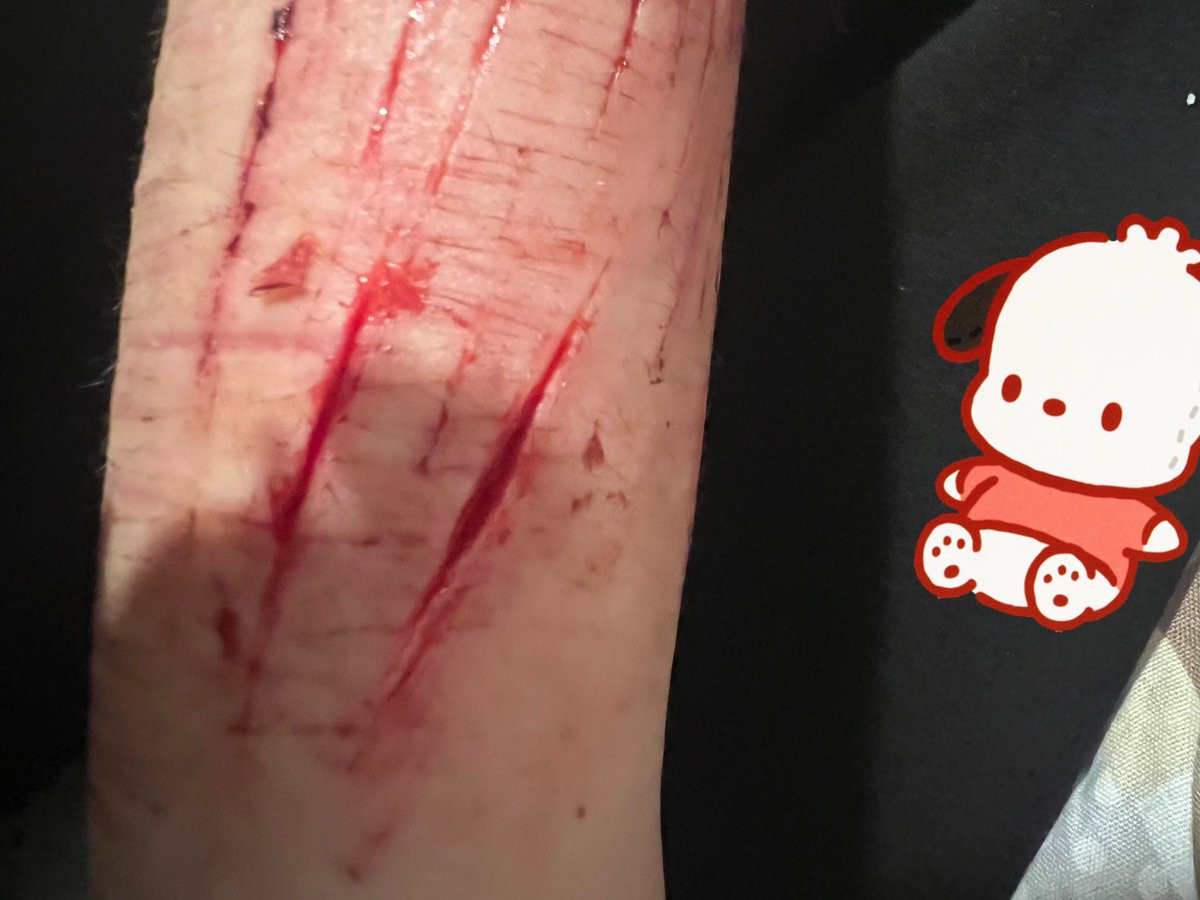 ᯓº· ʚ angel ɞ ˎ˗ tweet media