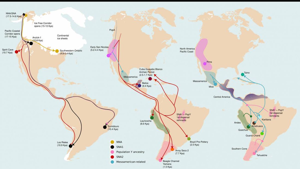 AMÉRICA
Tres grandes dispersiones moldearon la diversidad genética de los pueblos indígenas de Sudamérica (Marcos Araújo Castro e Silva, 2026)
