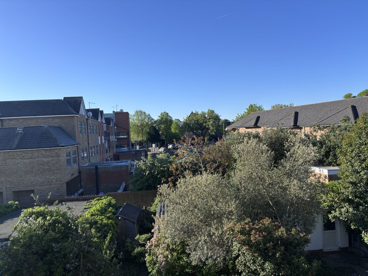 Ben Halen (He/His) tweet media