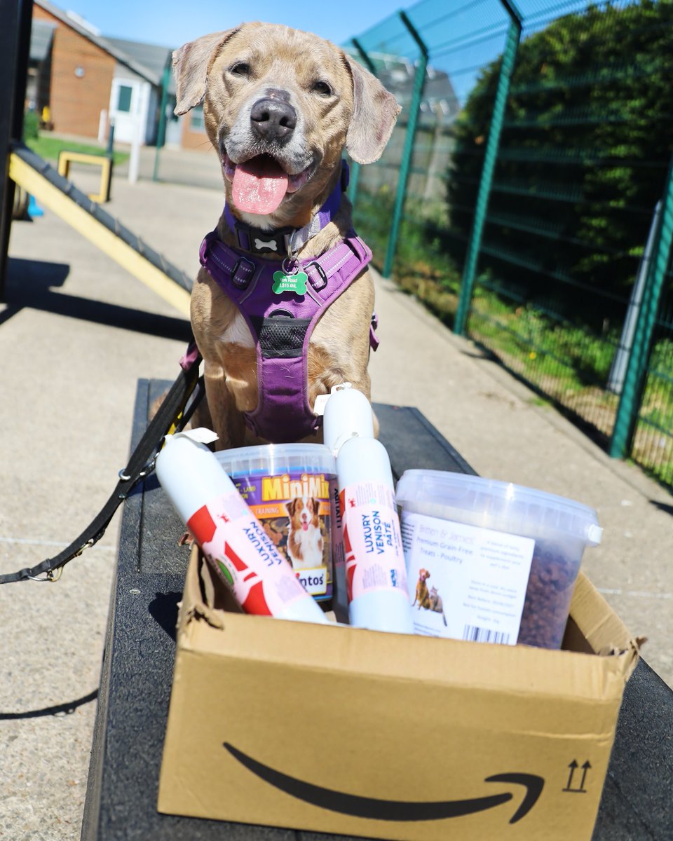 DT_Leeds's tweet image. Milo wanted to say a big #THANKYOU to those wonderful supporters who sent the delicious treats from our Amazon Wishlist. 🙏

If you'd like to send our dogs a treat too, go here 👉 bit.ly/ldsWISHLIST

#RescueDog #AdoptDontShop #Leeds #Charity @DogsTrust