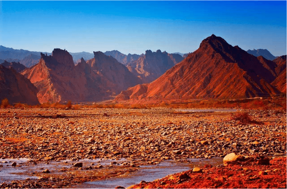 Temuri Pachulia tweet media