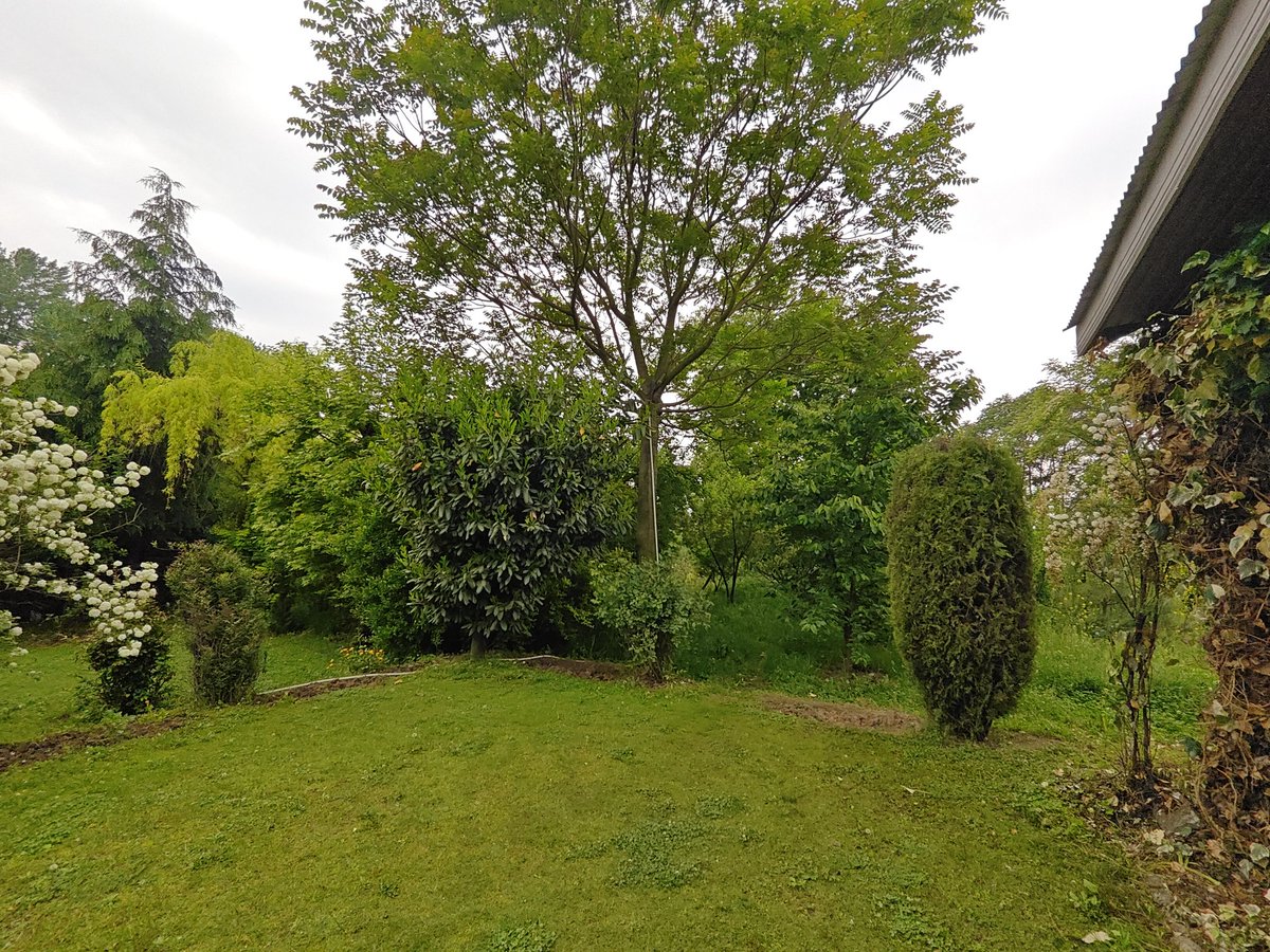 AMyth_n1's tweet image. One of my stays for the last few days in Kashmir...
