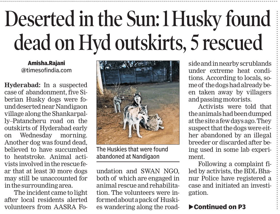 RajaniAmisha's tweet image. In a ruthless act, five #Huskies were found abandoned and one dead near #Patancheru. Locals told rescuers that around 30-35 #dogs were dumped from a truck by unidentified strangers on the night of April 20. A search is underway for the remaining Huskies.

timesofindia.indiatimes.com/city/hyderabad…