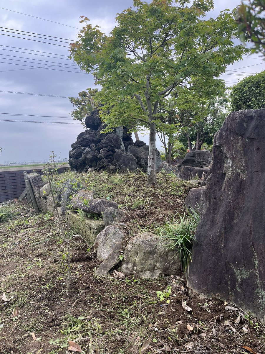 mugiwelu's tweet photo. とうとう来た､､､草取り地獄
シーズン開幕戦round１撃沈😅 https://t.co/Cpo2czP1E1