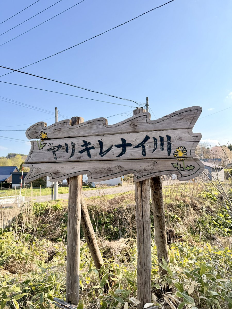 じゃんだらりん tweet media