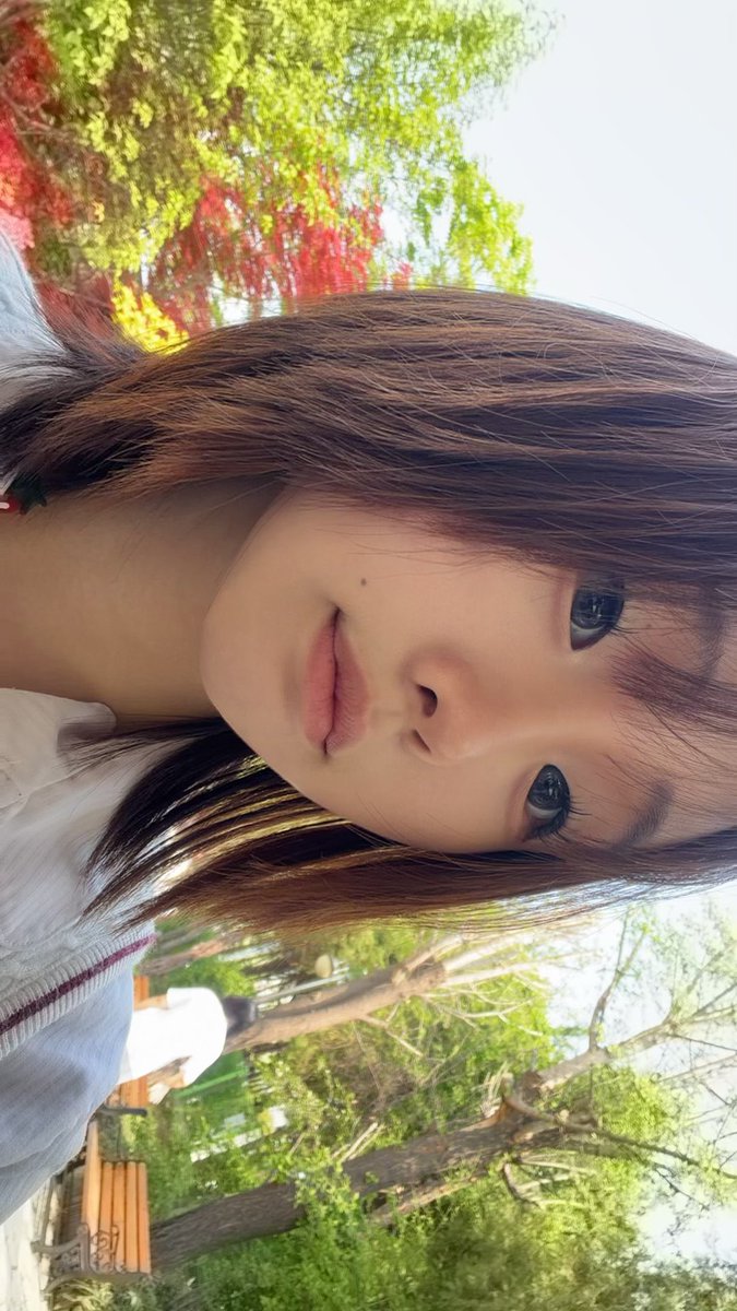 미쿠집착녀 tweet media