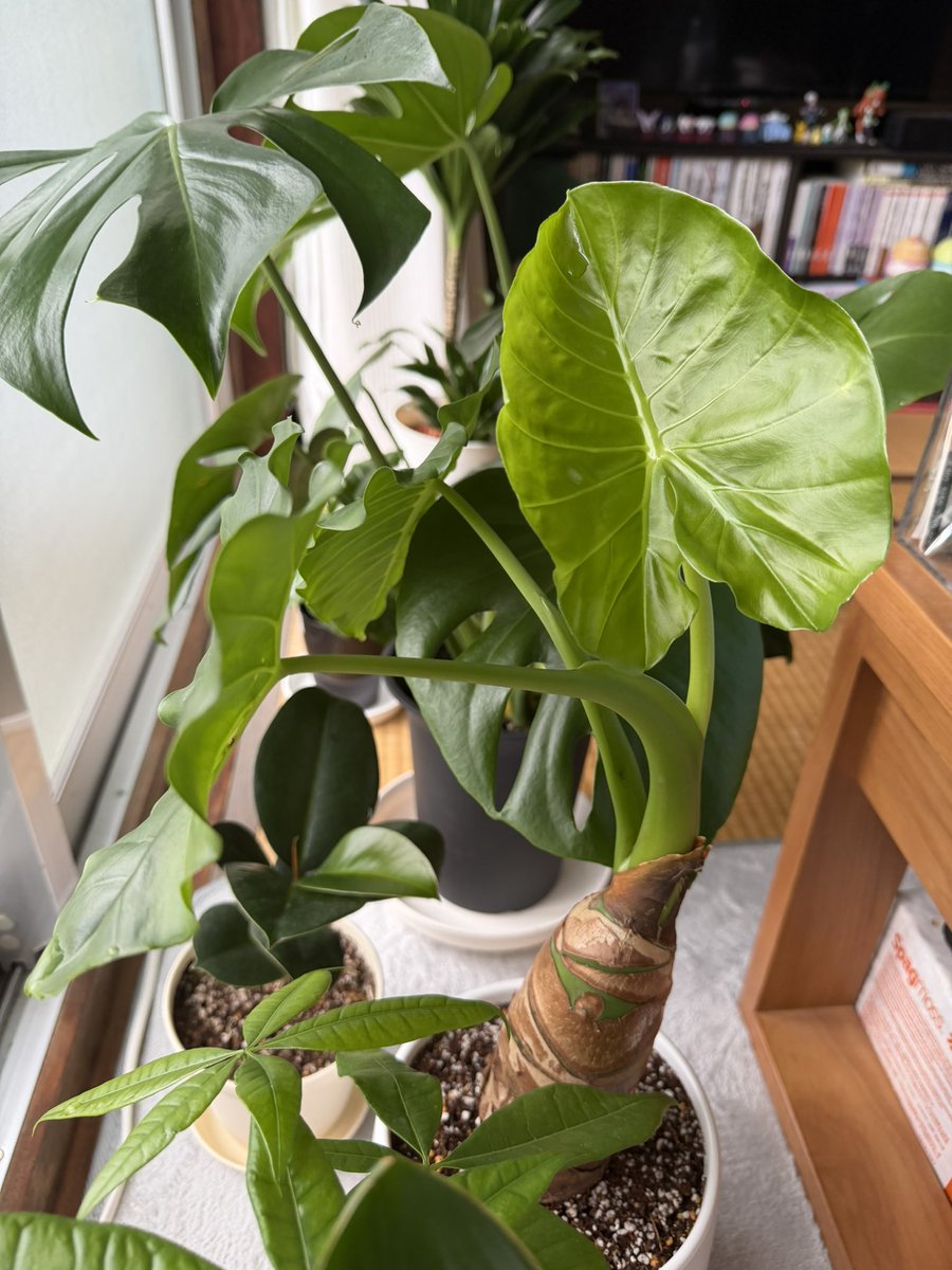 なるかわ tweet media