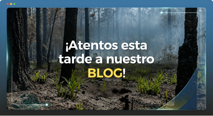 Previfor tweet media