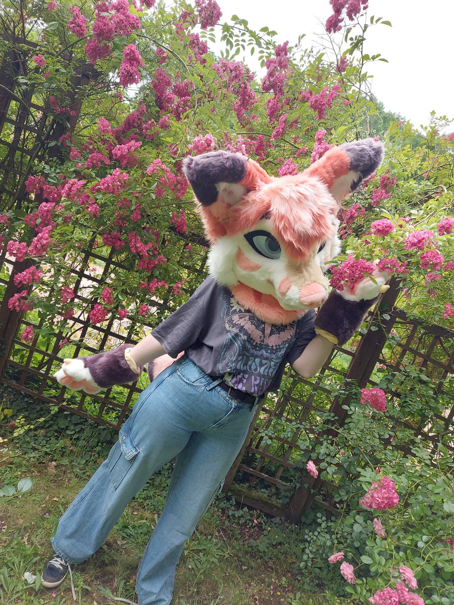 CocoLine SFW / Anthrotales / FUREAST 2026 tweet media