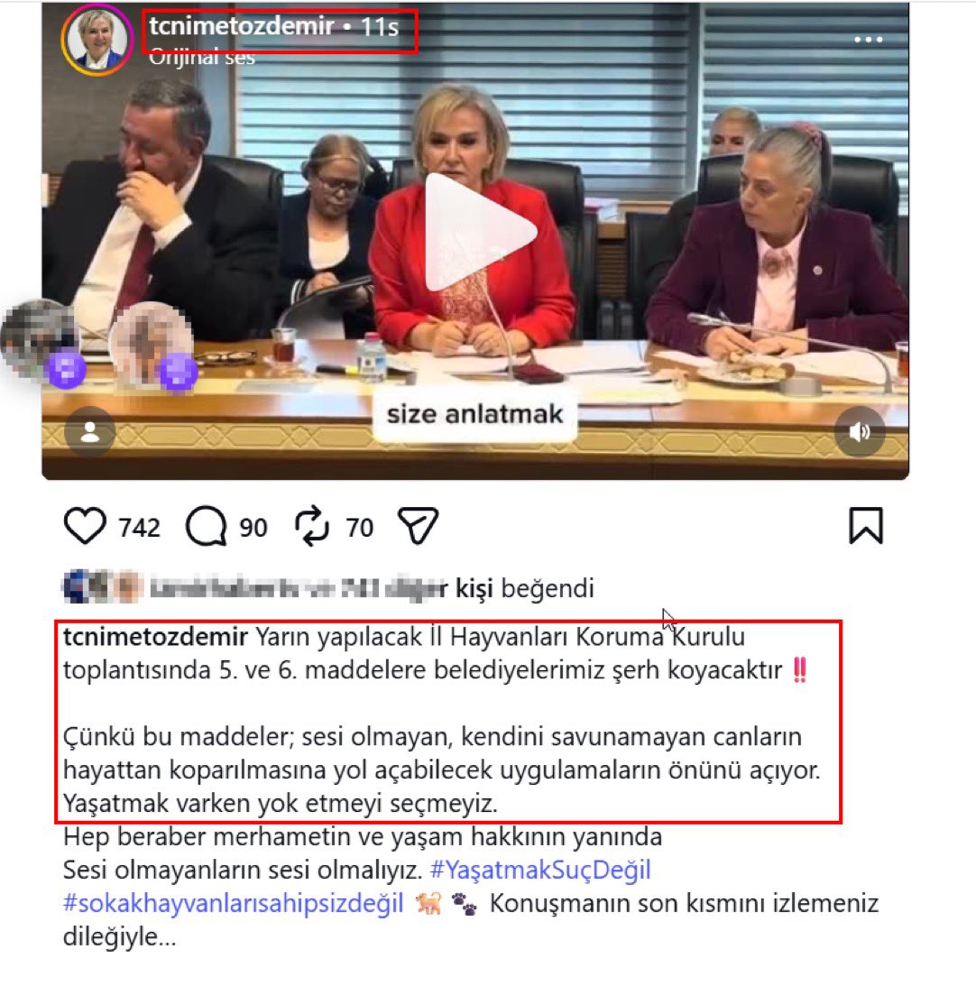 Ece tweet media
