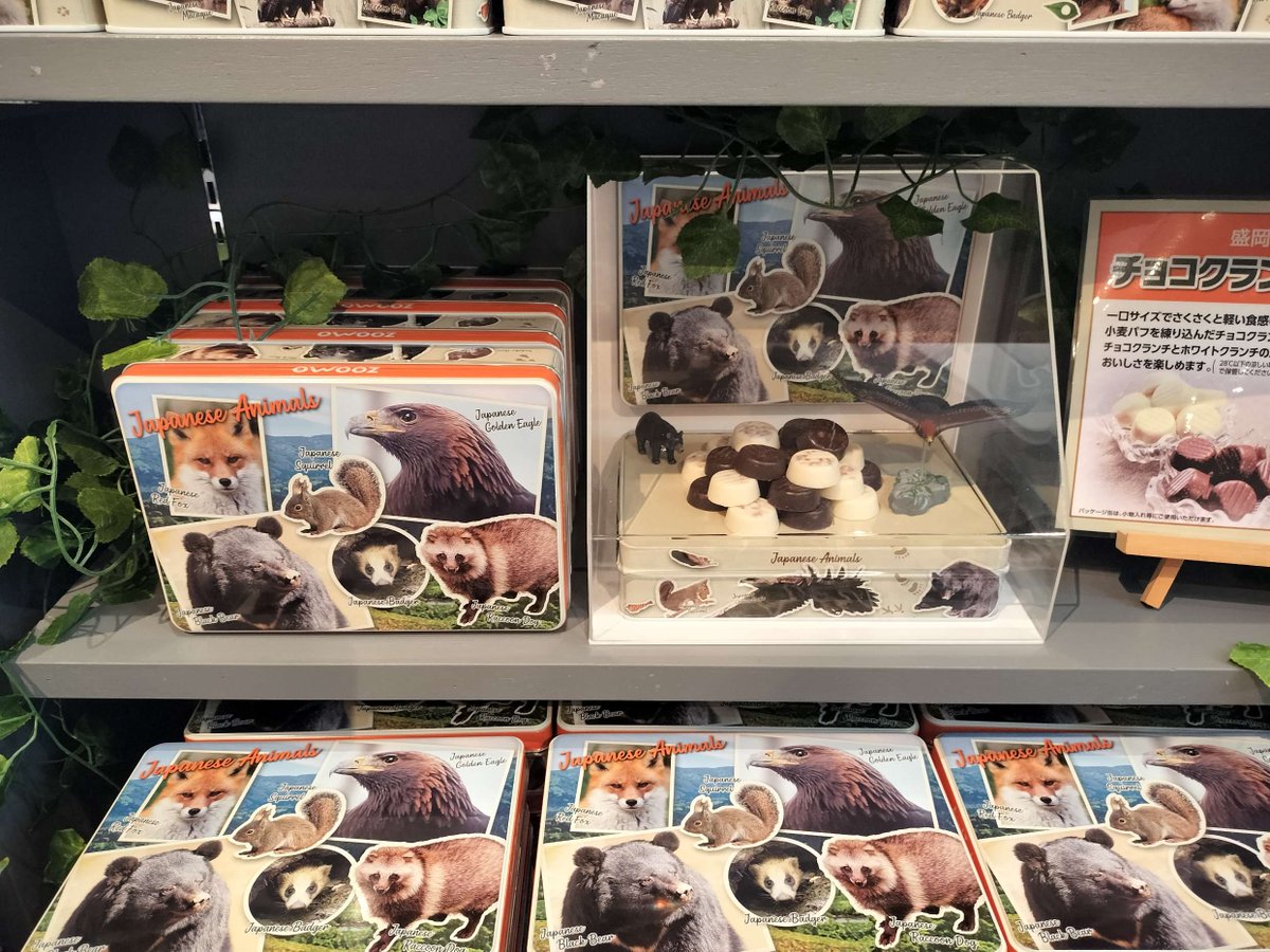 盛岡市動物公園 ZOOMO tweet media