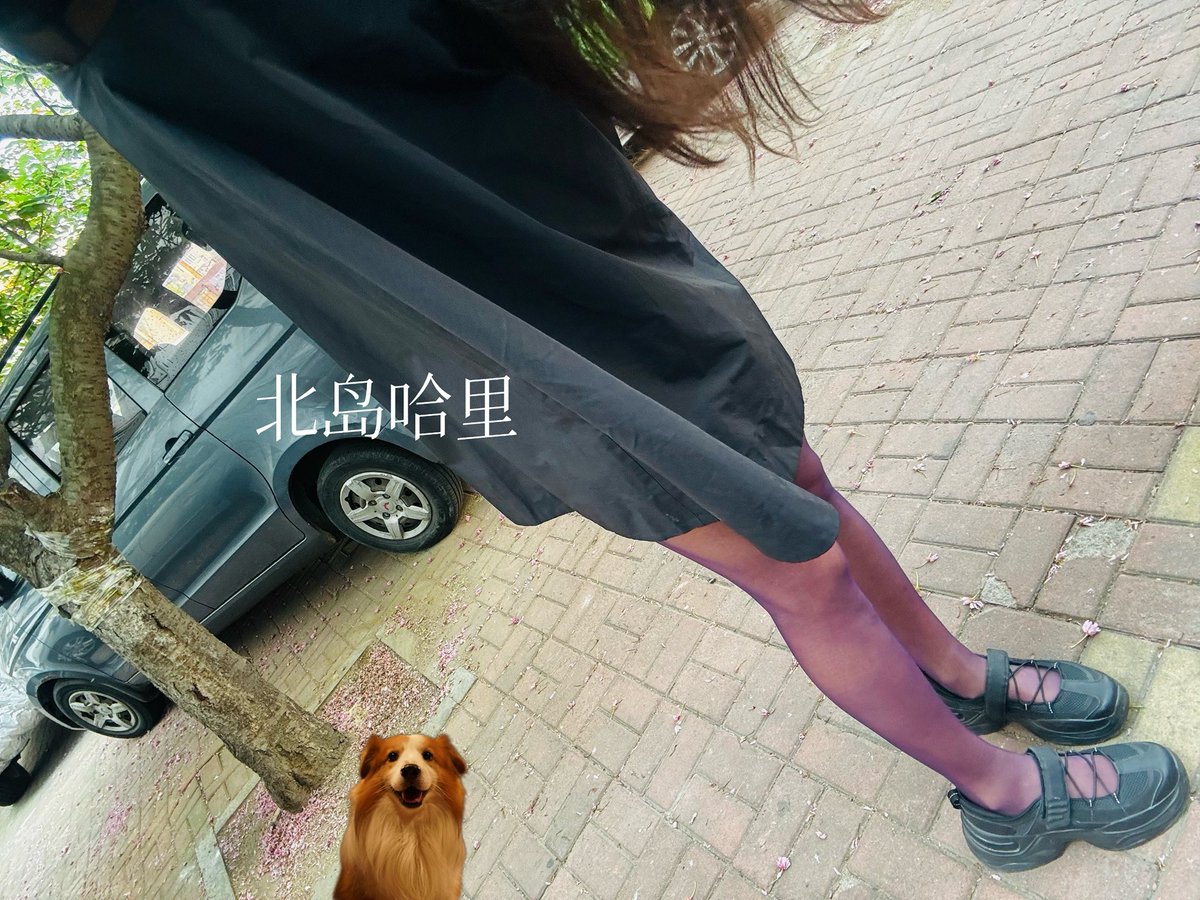 北岛哈里 tweet media