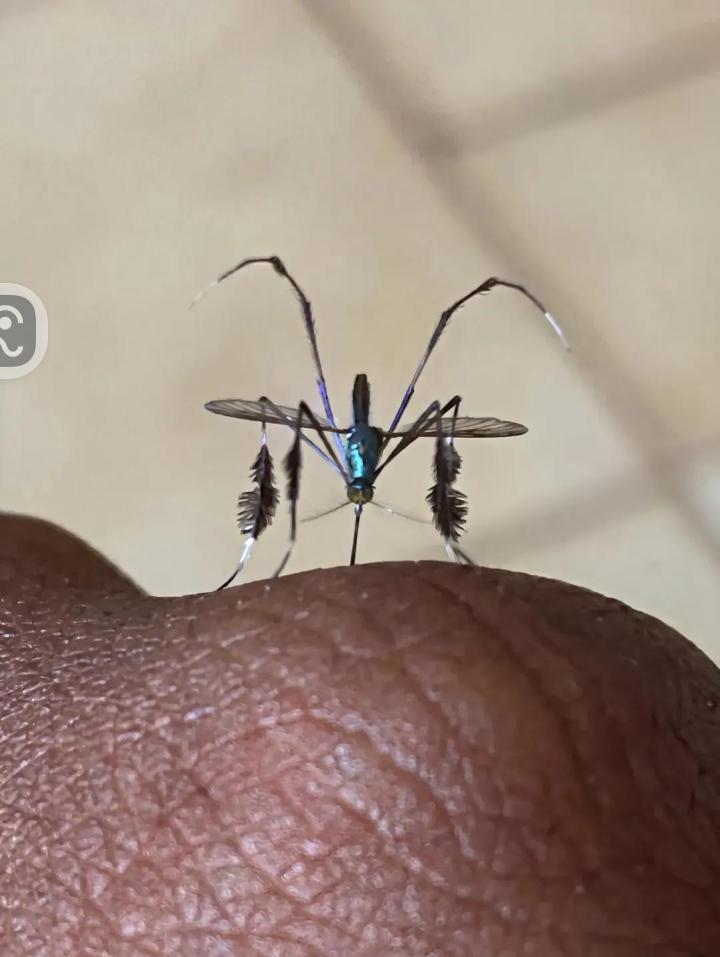 Awokenbot💀 tweet media