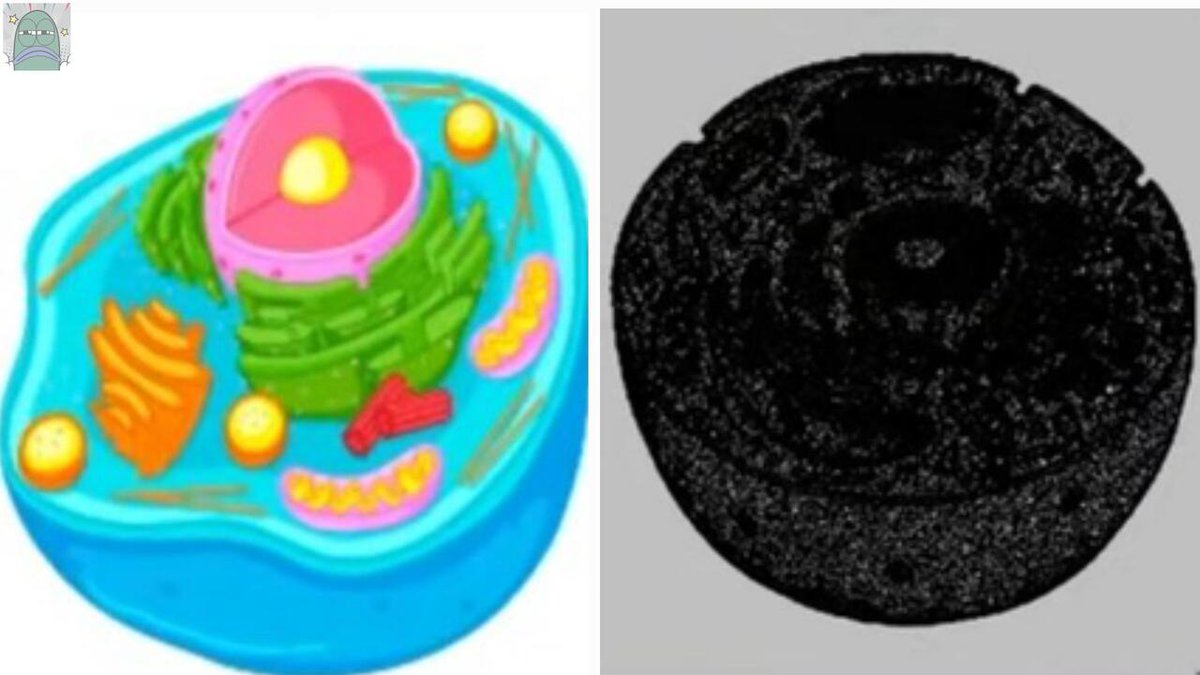 Tanyarlfes tweet media