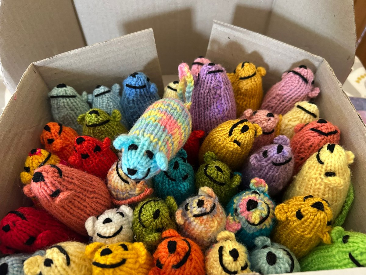 midgov's tweet photo. Our Mid Mouse project is back &amp; we’re so grateful to our amazing community for helping create a special mouse for every new P1 school starter. 🎒🐭
Want to get involved? Grab your knitting needles!🧵✨
More info👉 https://t.co/s2KdeSeABG
#MidMouse #KnittingForKids #CommunityLove https://t.co/kUjpAU4TQX
