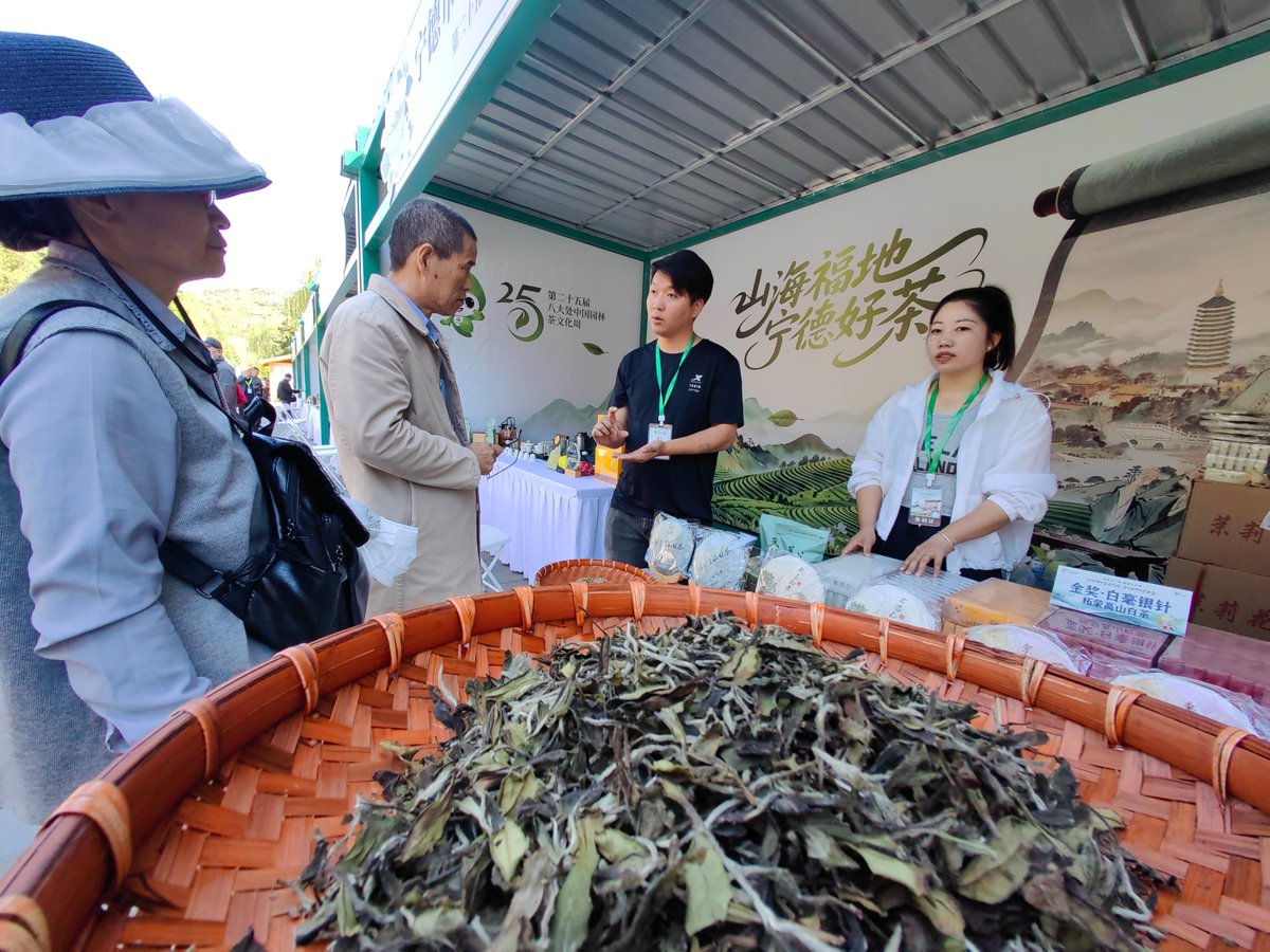 BeijingEvening's tweet image. 八大处茶文化节开幕
Sip tea and soak in the scenery! The 25th Badachu Chinese Garden Tea Culture Week kicked off in Beijing's Badachu Park on Apr. 30. #tea