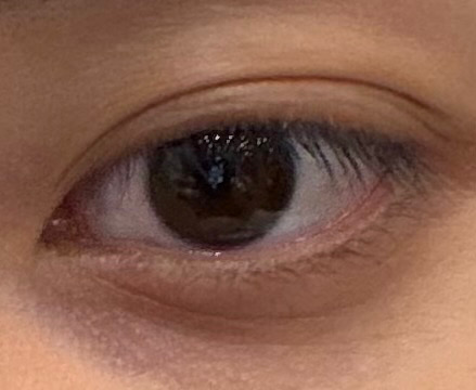 LNGSHOT UPDATE tweet media