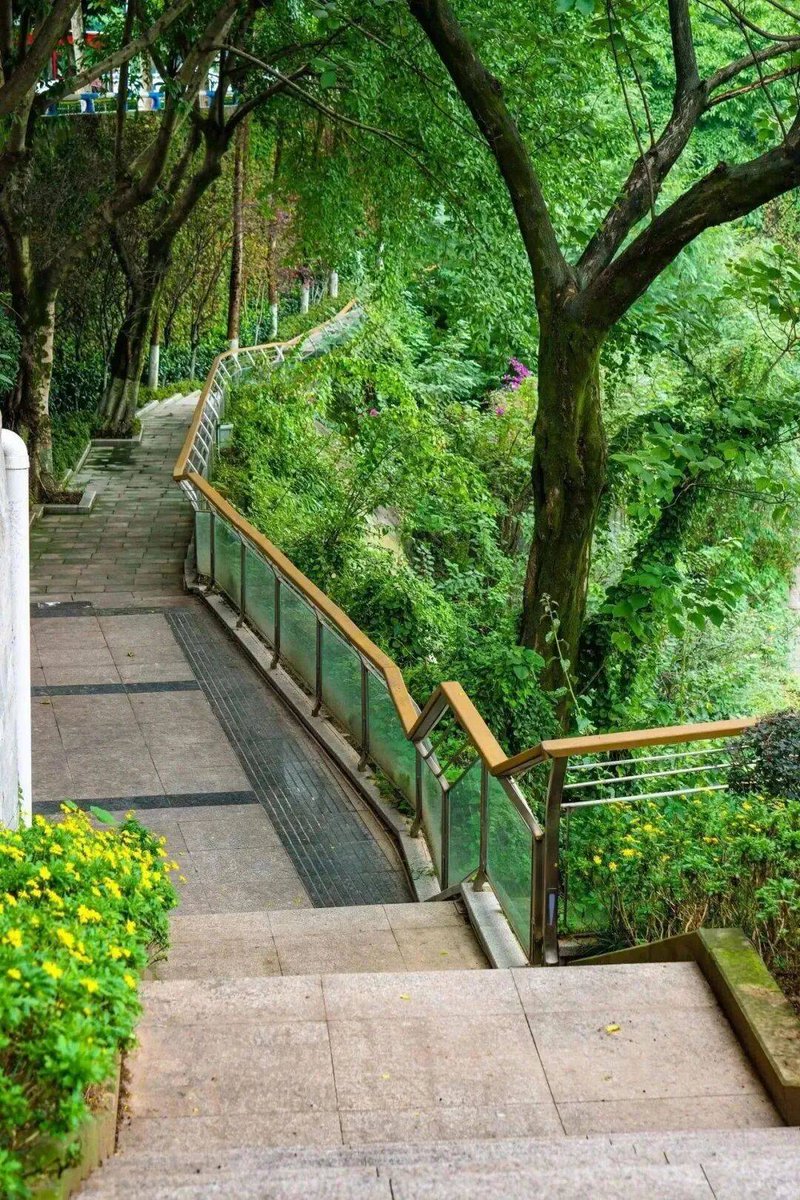 Guilmant's tweet image. "Morning hike to the hidden waterfall  Caught the sunrise glow on the trail, sipped coffee by the stream, and left with mud on boots + a full heart. Nature’s best reset  #Wanderlust #MorningAdventures"