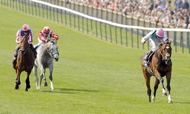Connochie7's tweet photo. 15 years ago today the greatest to ever do it put up a performance of a lifetime in the 2,000 Guineas! #Frankel https://t.co/ji7ZfWy4UW
