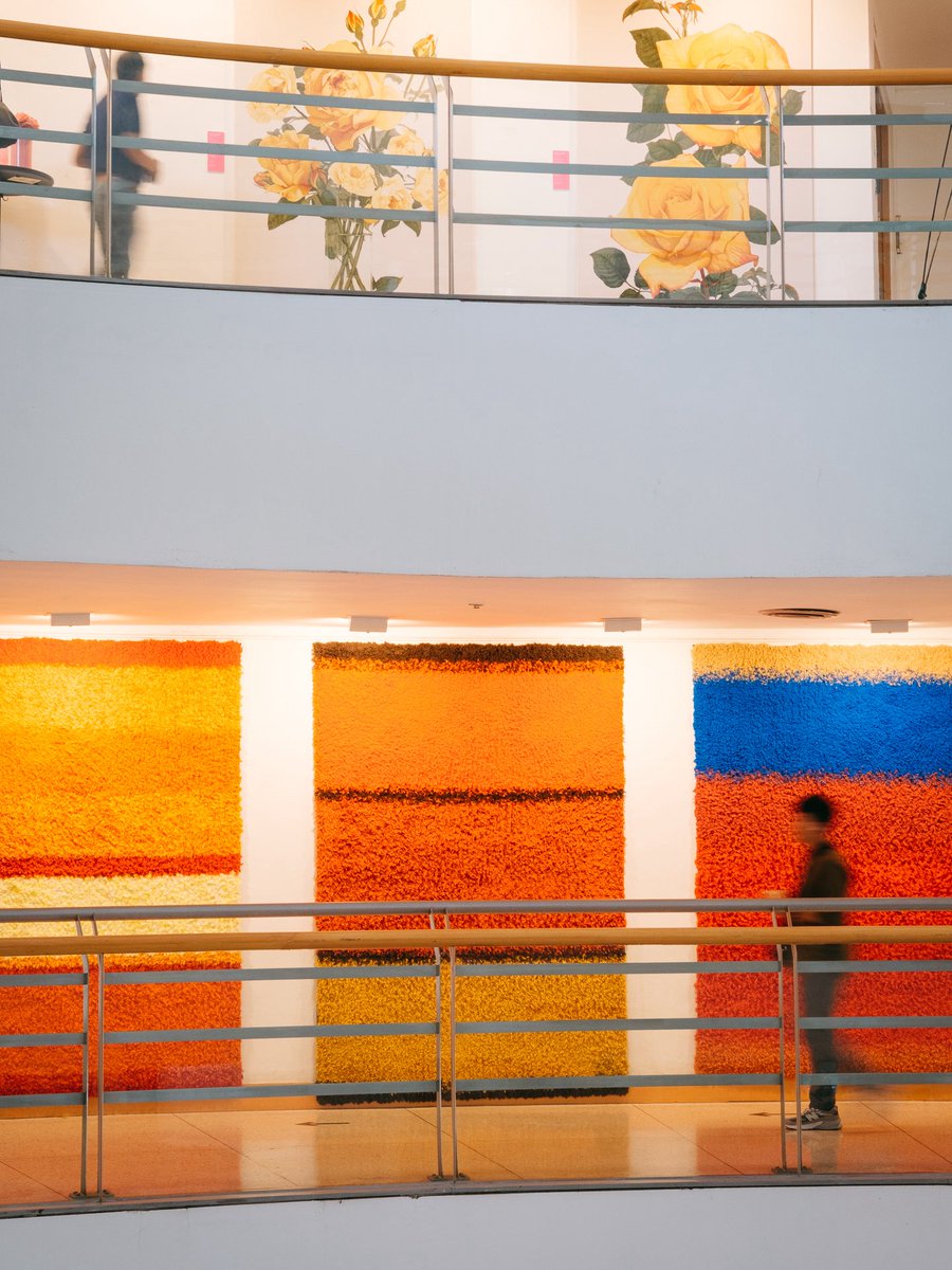 Rattomarty's tweet photo. ใครผ่านมาแถวสยาม อยากให้แวะมาชมงานนี้ค่ะ "The Sediments of Human Civilization" โดย PASAYA นิทรรศการที่หยิบเรื่องวิกฤตสิ่งแวดล้อมมาเล่าผ่านงานคราฟต์และนวัตกรรมการทอผ้าได้ทรงพลังและดีเทลผ้าแต่ละชิ้นคือสวยมาก
📍 ชั้น 3-5 หอศิลป์ฯ (BACC) https://t.co/Qm5Fhfvnoc