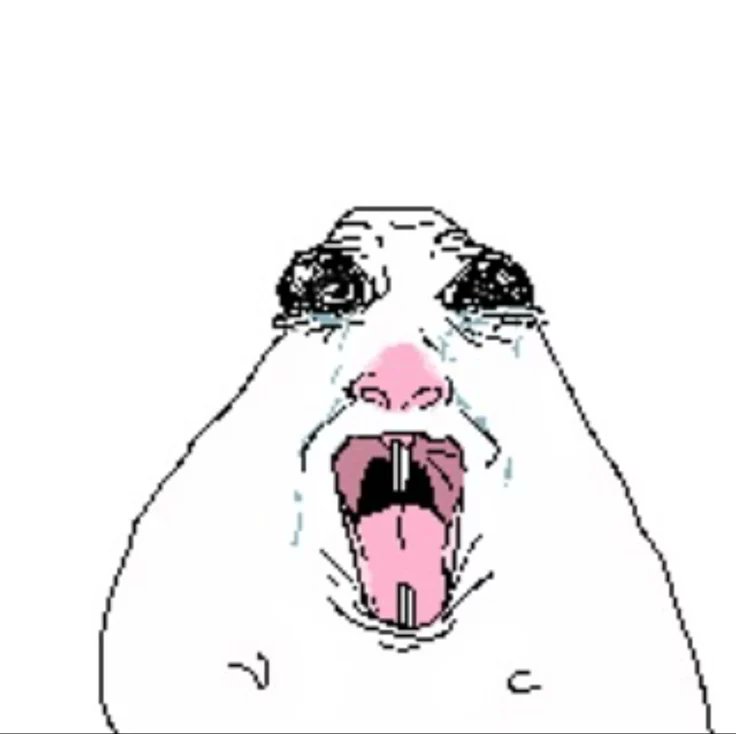 ✨Starry💫 tweet media