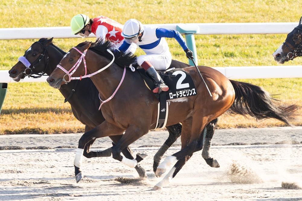 lordtotwiinfo's tweet photo. 【出走予定】🏇
8頭が出走を予定しています🐴
https://t.co/wzr8ouBazs

交流重賞に2頭が出走予定❗️
ロードフォンスが かしわ記念-JpnⅠ、ロードラビリンスは名古屋グランプリ-JpnⅡへ。
二日連続のタイトル奪取を目指します🏆🏆

大型連休も、白、青一本輪、青袖の勝負服にご注目下さい📣

#ロードTO https://t.co/7OyFVtLkov