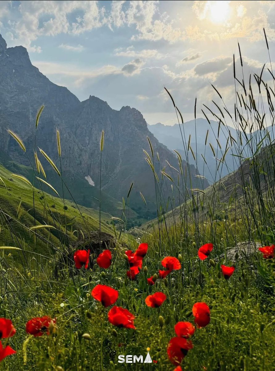 SemaTvE's tweet photo. Good morning ☀️
In the embrace of #Kurdistan, the mountains wake before the people under a golden light.
May your morning be as beautiful and warm as its nature. https://t.co/EEFggDlLth