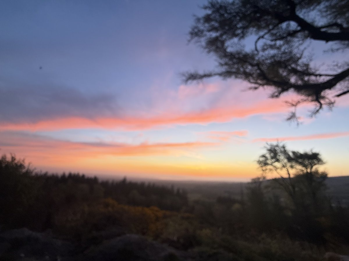SavetheHellfire's tweet image. Beautiful morning on Montpelier Hill #sunrise #Thursday #nature #trees