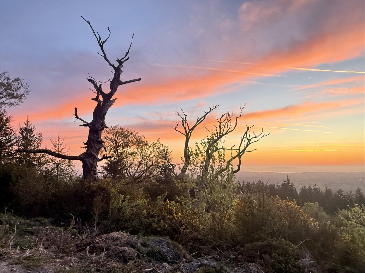 SavetheHellfire's tweet image. Beautiful morning on Montpelier Hill #sunrise #Thursday #nature #trees