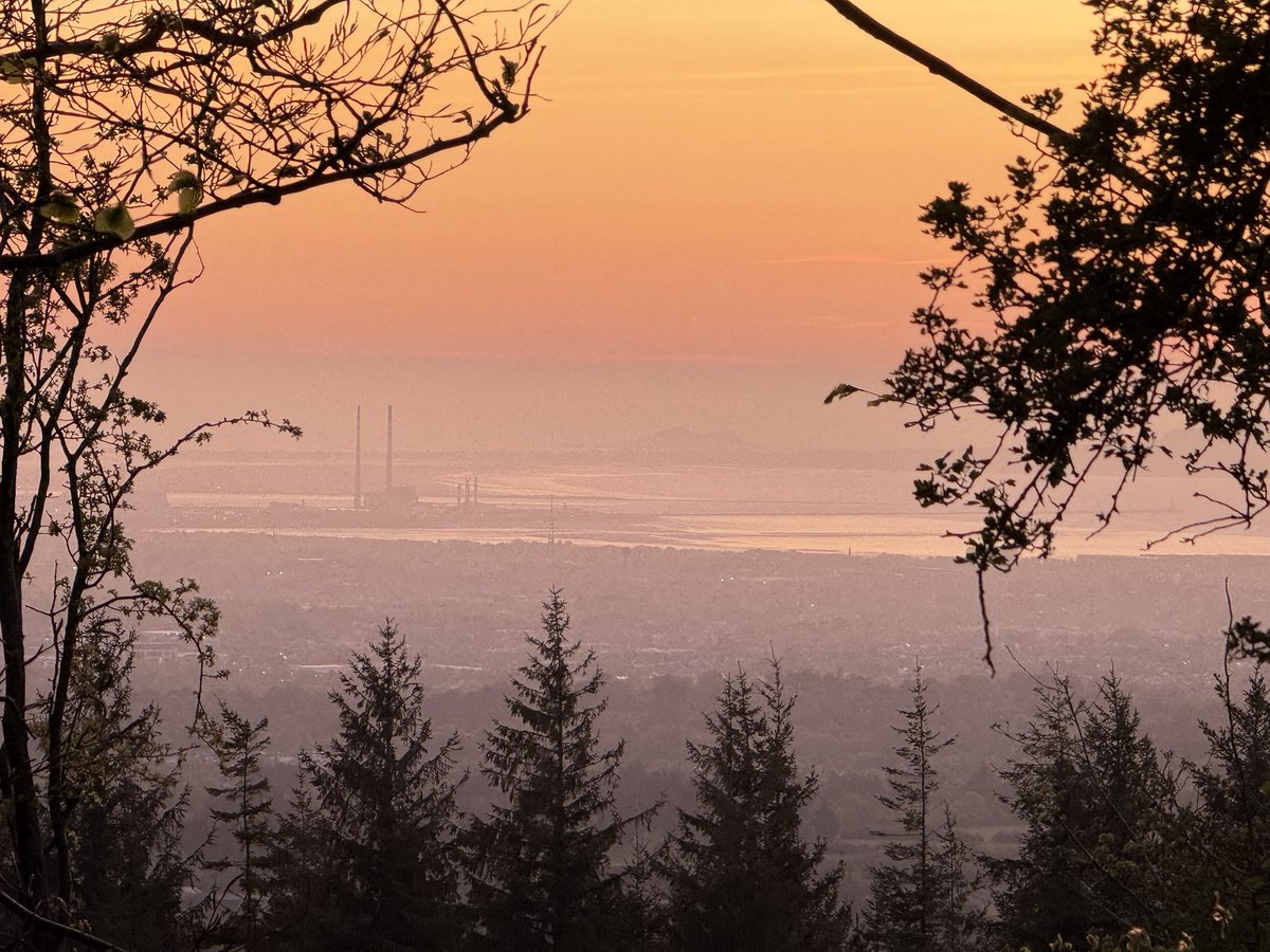 SavetheHellfire's tweet image. Beautiful morning on Montpelier Hill #sunrise #Thursday #nature #trees