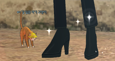 사백(공) tweet media