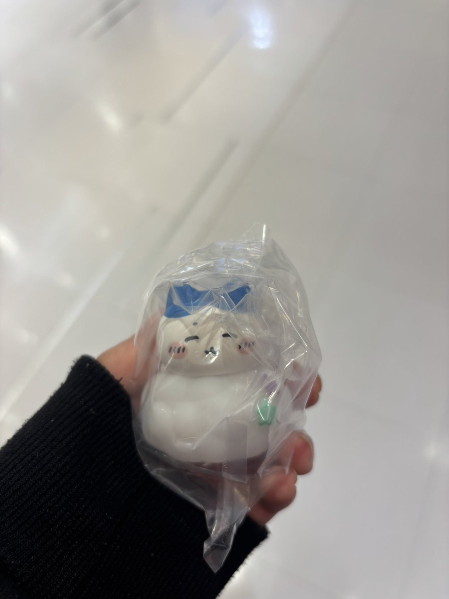 Djどんぐり tweet media