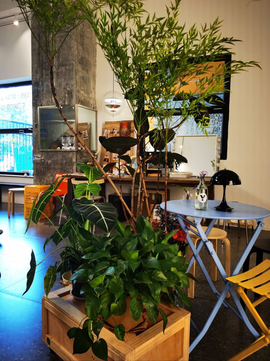 miguel angel martin tweet media