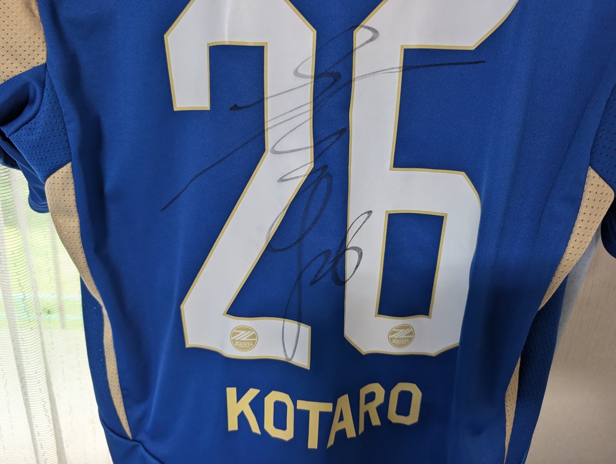 わい＠ゼルサポランナー tweet media