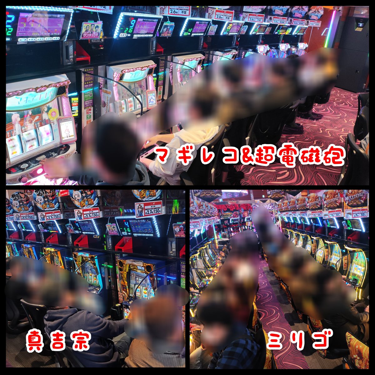パンダ調査隊@P-GAL tweet media