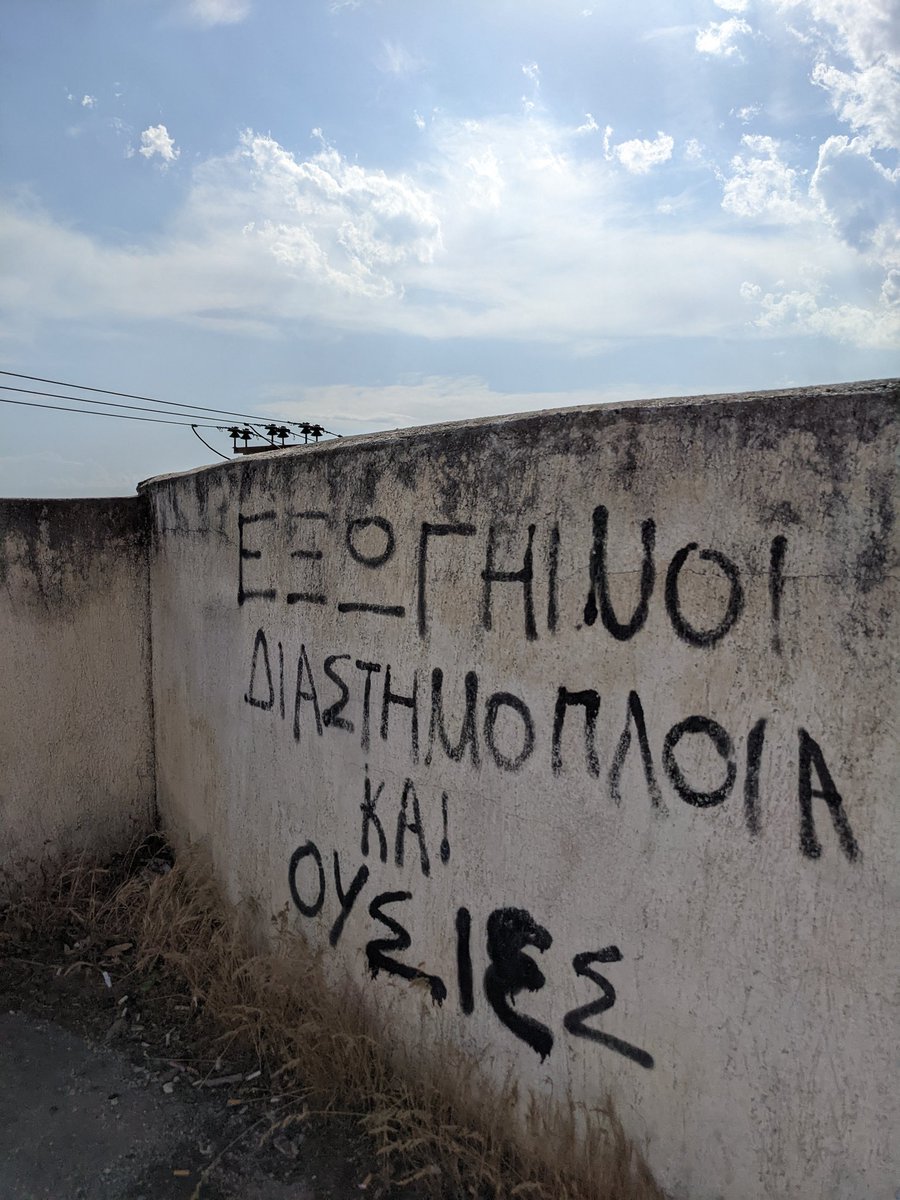 Chimpanzebra tweet media