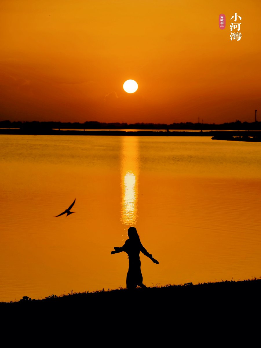 feyzullahyagiz tweet media