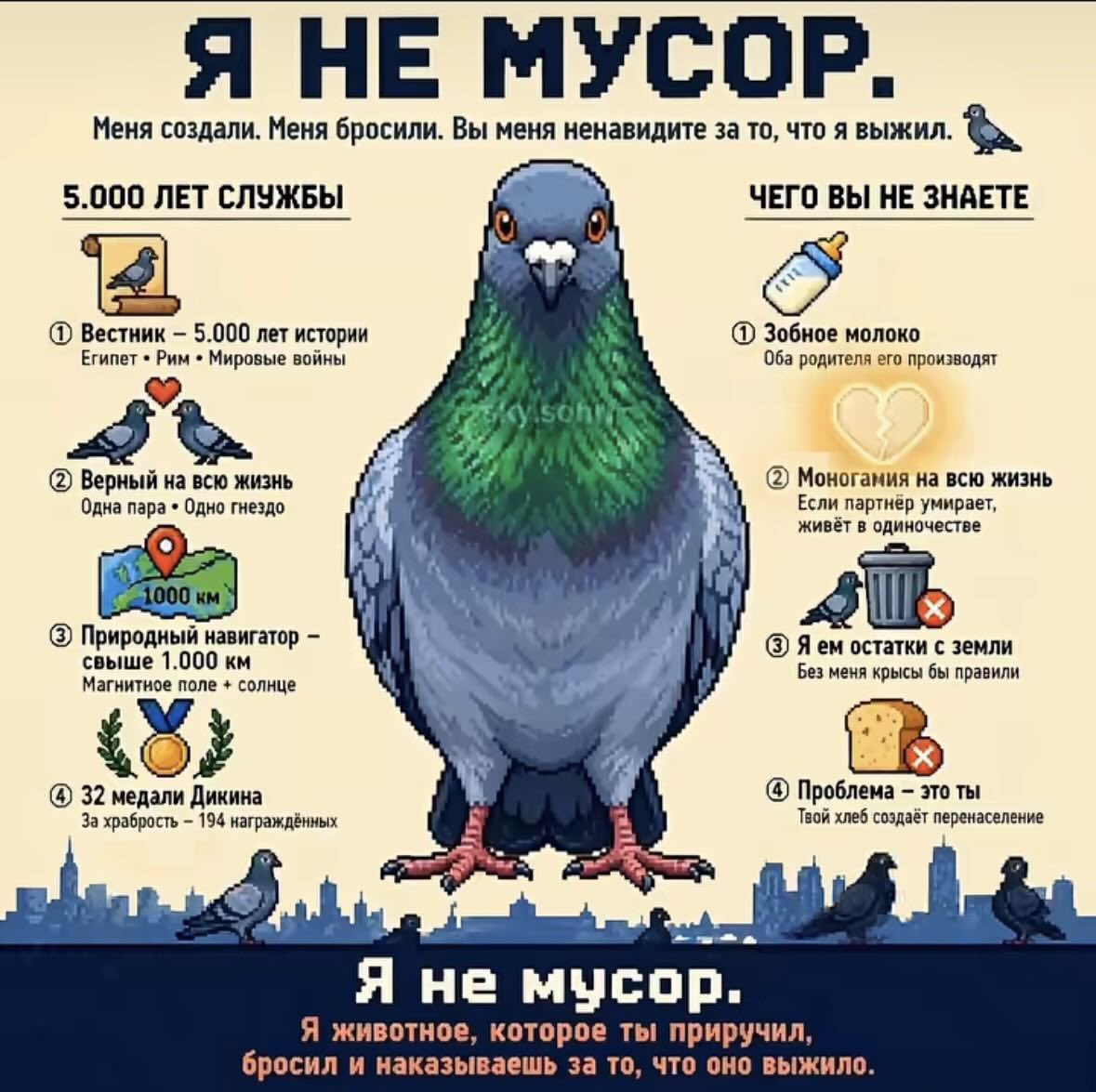 Доброхвост - благотворительный проект tweet media