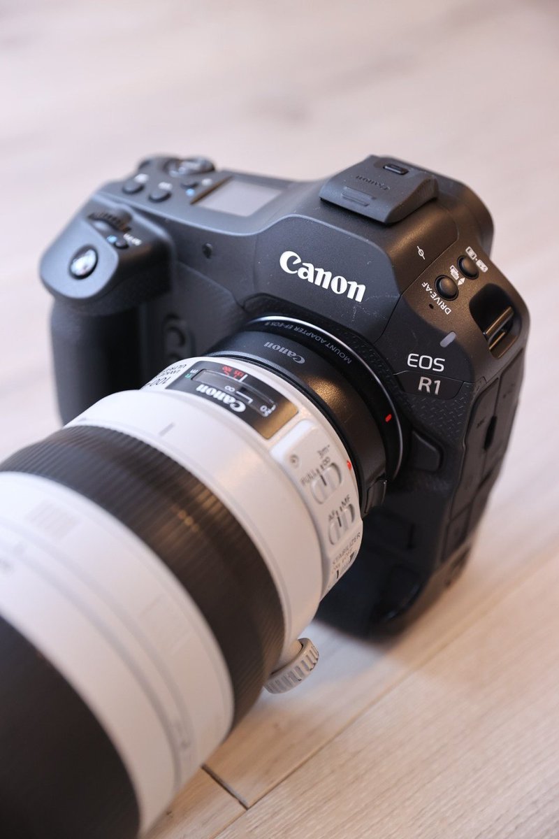 MFSPhoto1979's tweet image. アクセサリーシューカバー標準装備で安心しました。買うの忘れたなぁとか思っていたので…。
600EX II-RTなど旧シュー機種を装着する場合はAD-E1が必要とさかんに書かれているけど、防塵防滴を諦めるなら実はそのまま付きます。

#EOSR1 #Canon