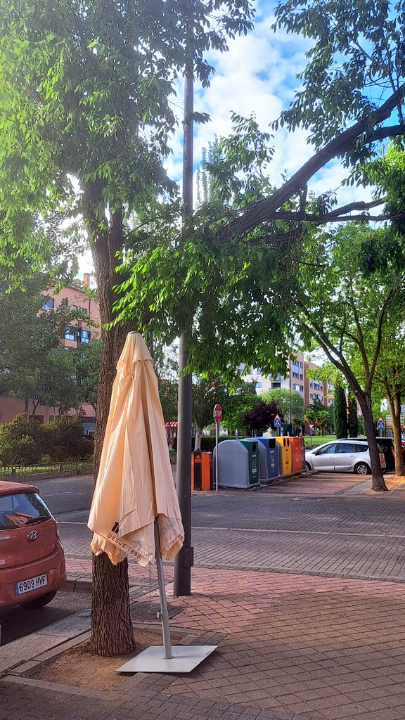manueldufe's tweet photo. @ppyjj_alcorcon @AytoAlcorcon Calle Oslo 8 frente a bar Exento, dos ramas de gran tamaño a punto de caer desde hace semanas. Hagan por cortarlas y evitar caída en zona de terraza del bar y acera. https://t.co/fQnfkAzJoK