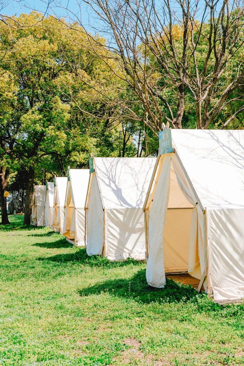 asmamosa tweet media