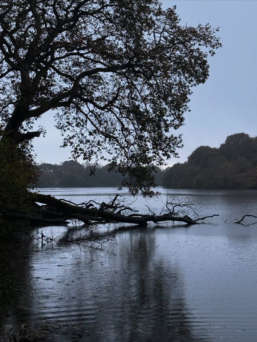 Callum 🏴󠁧󠁢󠁷󠁬󠁳󠁿 tweet media