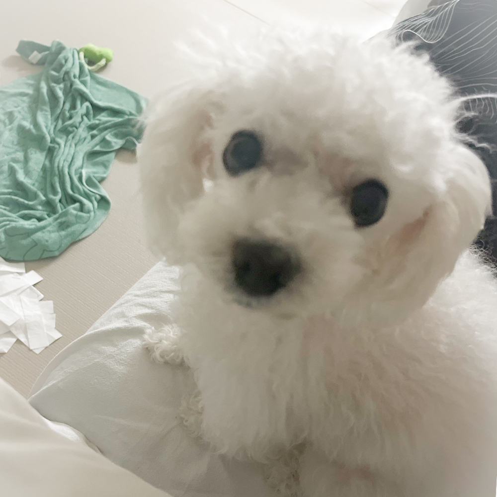 곰곰히 tweet media