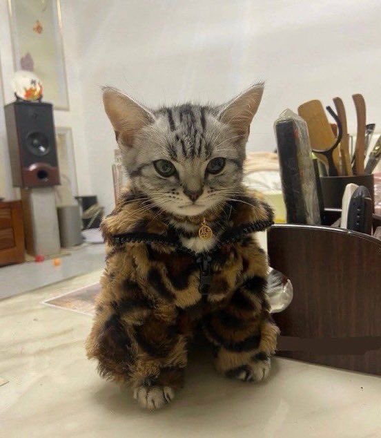 bibi 🎀 tweet media