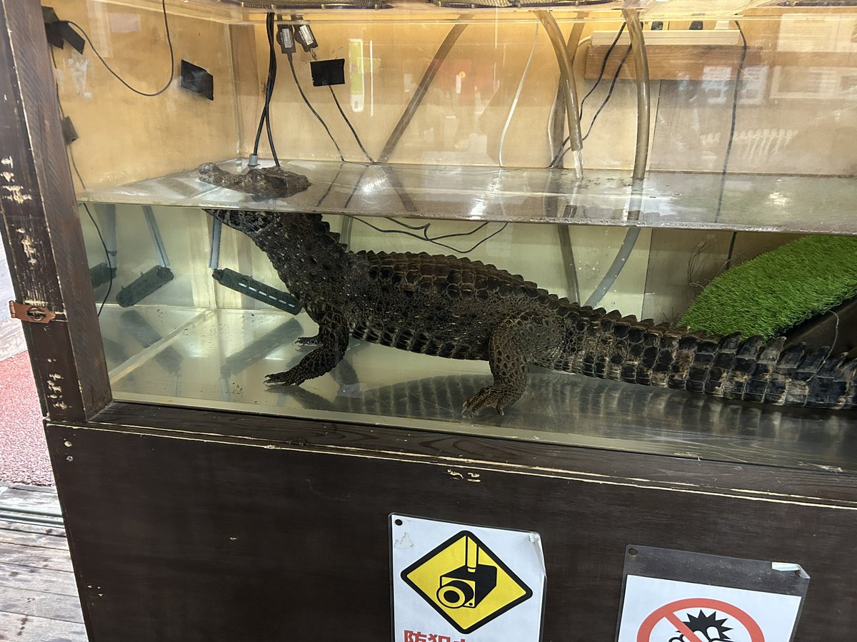 tenchobit's tweet photo. 今日は大分の別府まで足を伸ばし、地獄めぐり。
土砂降りでした。 https://t.co/i8VtIffszG