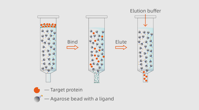 SmartLifeSci's tweet photo. 🧪Capture your protein with precision 🎯

Affinity chromatography enables highly selective purification—saving time and improving results.

Looking to optimize your workflow? We’ve got you covered.

#BiotechTools #ProteinPurification https://t.co/7Yd0kZIu4V