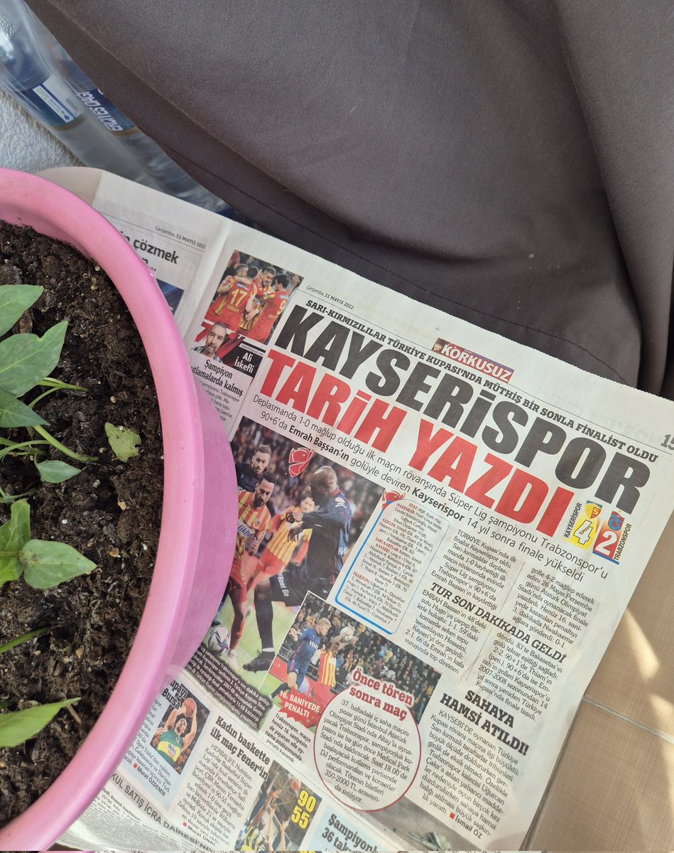 Doğan tweet media