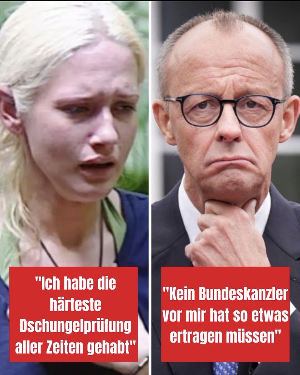 🟡 NieKohle 🟡 tweet media