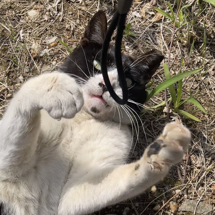 일단해 tweet media